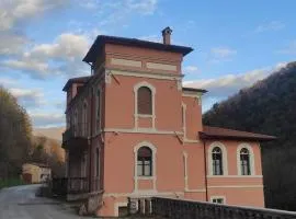 Le Rondini