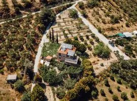Verano Family House