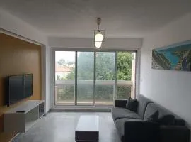 appartement Antibes Juan les Pins