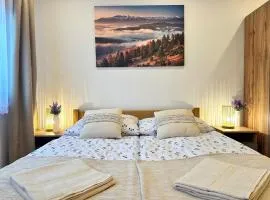Jaworowe Izby Apartamenty z balią z hydromasażem