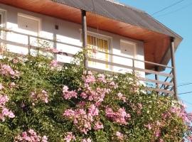 Hospedaje Navarro Dpto N3 matrimonial, hotel in Navarro
