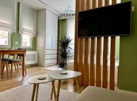 Serene Apartment Korce