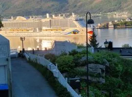 APARTAMENT - Duże mieszkanie w centrum Ålesund