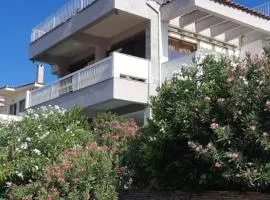 Nice house close to the sea