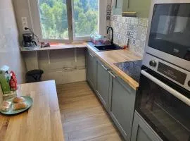 Private Room-1 in HANNANA Apartment- 2 min walk To Tram 12 min to Nice train station 15 min to Massena Place