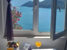 Apartman Vito
