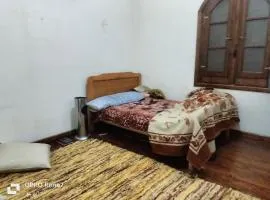 سقاره