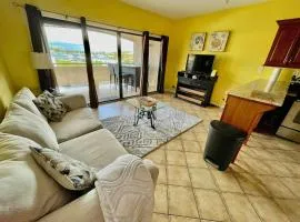 Beautiful 1bed 1bath Condo In Downtown Red Hook