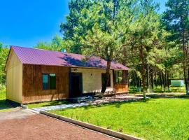 Milenium Villa on Sevan beach, hotel v destinaci Sevan