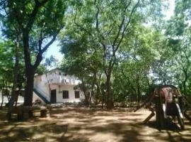 New Samanali Resort