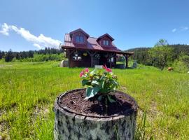 Brvnara Rajkova koliba - STD Bojovići Zlatar, chal&eacute; alpino em Nova Varos