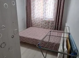 2 комнатная квартира в центре, правый берег