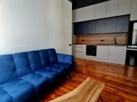 Hola Apartamenty Piotrkowska 69