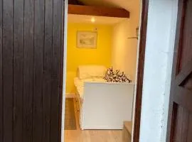 Studio Annexe with separate shower room