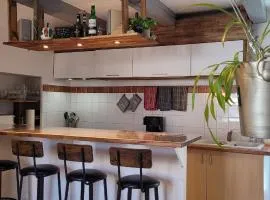 Maison typique Domino centre