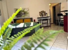 Studio Cosy & Zen Hyères centre