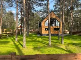 Dom Stodoła Borsk