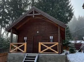 Forest Guest House 2