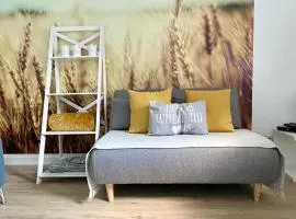 FeWo Studio 'Ein Bett im Kornfeld', Küche, 30qm, Souterrain