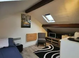 Limoges studio proche pôle santé