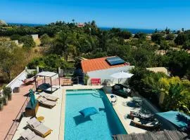 Palm View Guesthouse, adults only