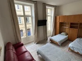 grand appartement lumineux extra centre