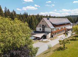 Waldhotel Vogtland, hotel u gradu Klingental