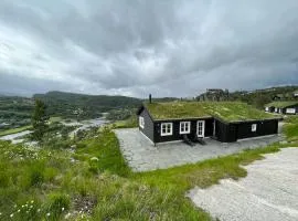 Fantastic view, great holiday house with sauna in Sirdal