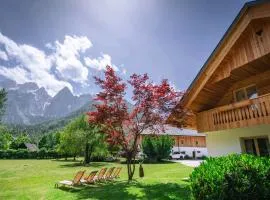 Apartments Trata