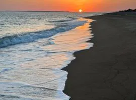 Harmony-