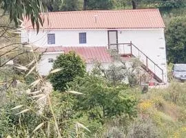Casa Hortensia