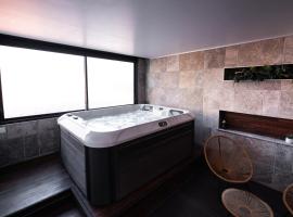 Loft 150 m2 Jacuzzi, Sauna et Massage, hotel v destinaci Blagnac