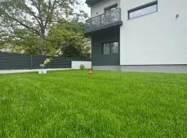 Casa de vacanta Cris 2