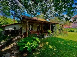 Artistic Garden House