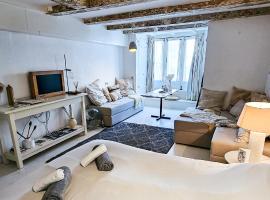 JoyJoyJoy the White Wilde ecolicious studio in a historic Canalhouse from 1799 with terrace at the canals, hotel in Amsterdam