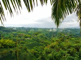 Hospedaje Mirador La Aurora Filandia, camping en Filandia