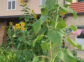 Apartman Mustapić