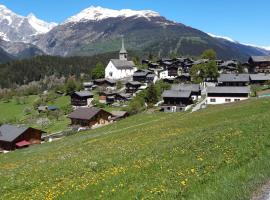 Wohnung mit schöner Sicht auf Bergpanorama und übers Tal, hotel a Ernen