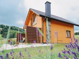 Domki pod Bukowym Lasem, hotel en Wańkowa