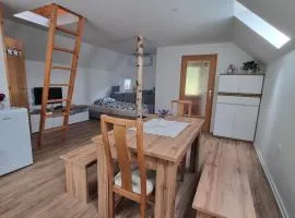 Apartma Pod orehom