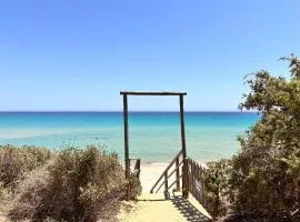 Blue shutters by the beach