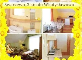 Apartament SŁONECZNIK