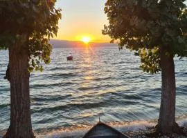Sunny Lake Trpejca