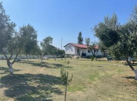 Diarla's Home 1, Hotel in Fier