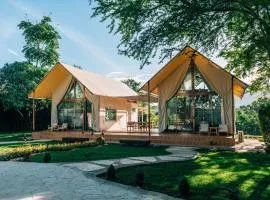 Wonder Mountain Resort