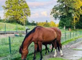 Caravane en pleine nature ferme proche de tout