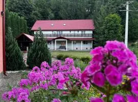 Vacation villa Sucevița