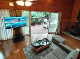 Suite Villa Yamanakako