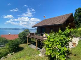 Le petit chalet des Greys, hôtel à Meillerie