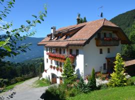 Bärntalerhof, penginapan di ladang di Falzes